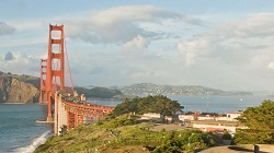 view of the Golden Gate Bridge from Golden Gate Park
